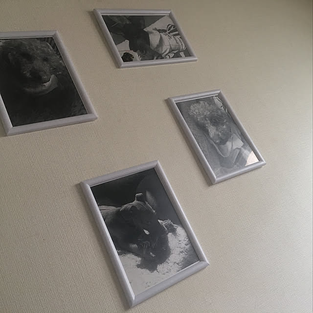 cocoさんの実例写真