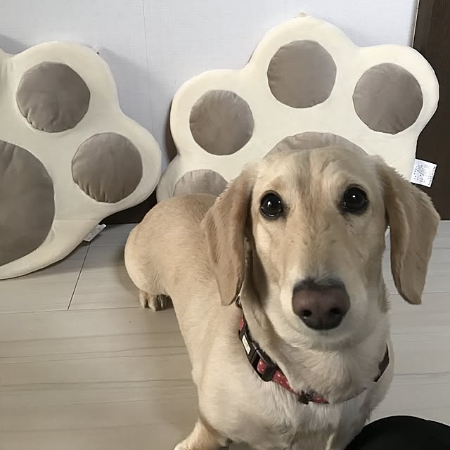 hechanさんの実例写真