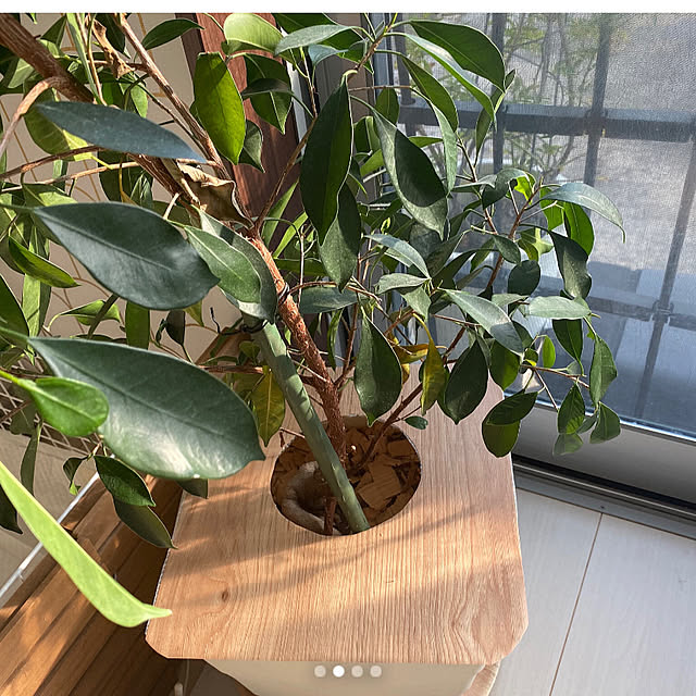 alchoさんの部屋