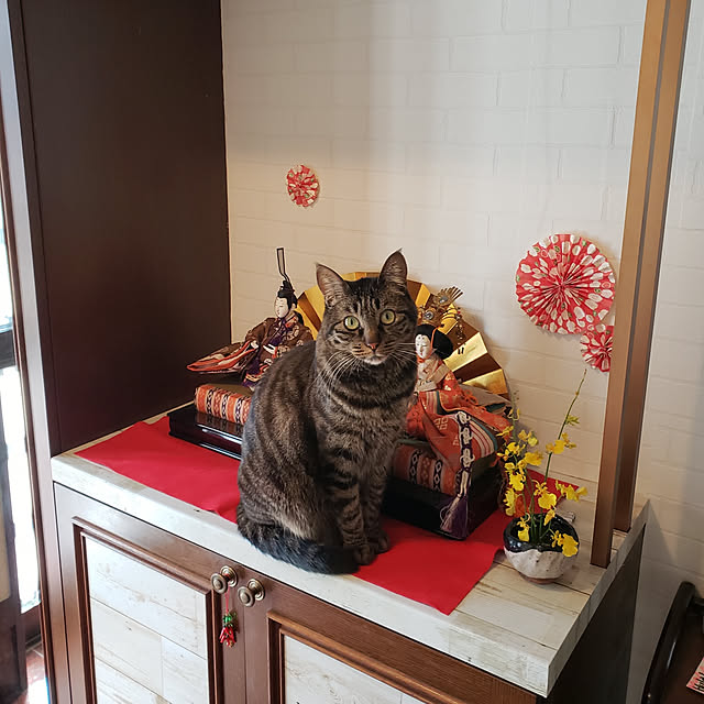 Mayumi8888さんの実例写真