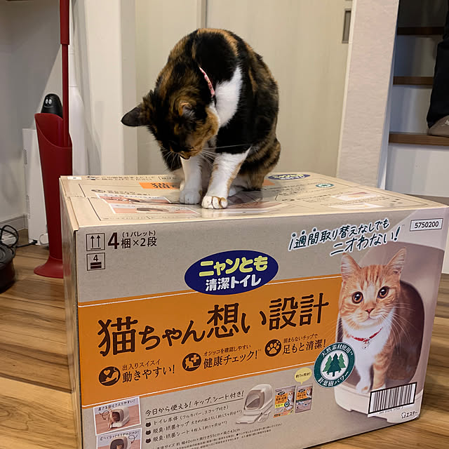 neconeko1202さんの部屋