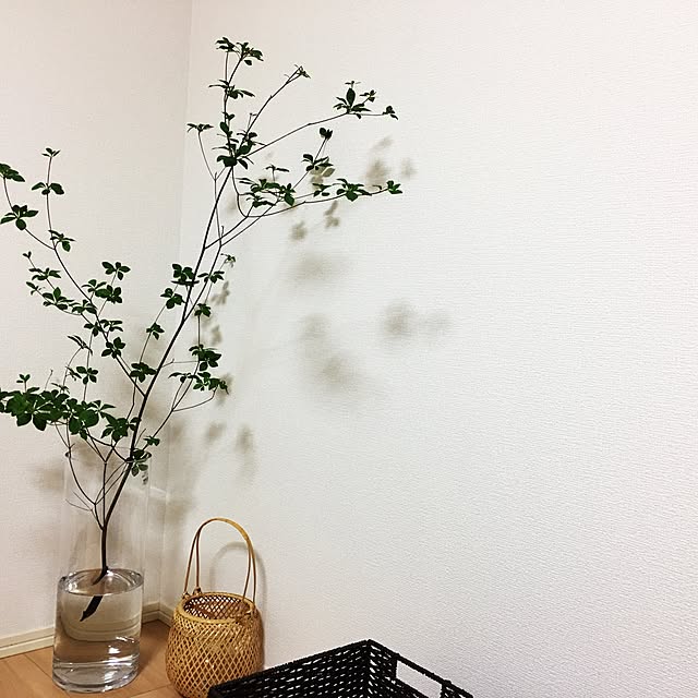 suzuさんの実例写真