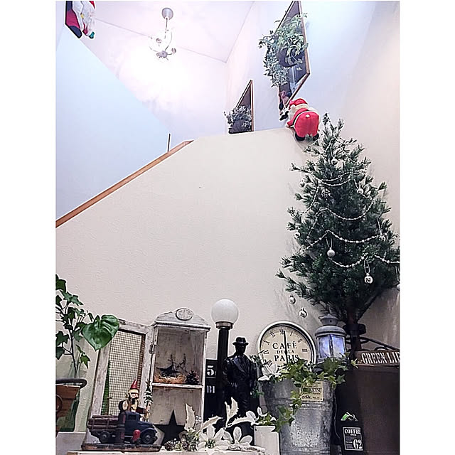 mymiさんの実例写真