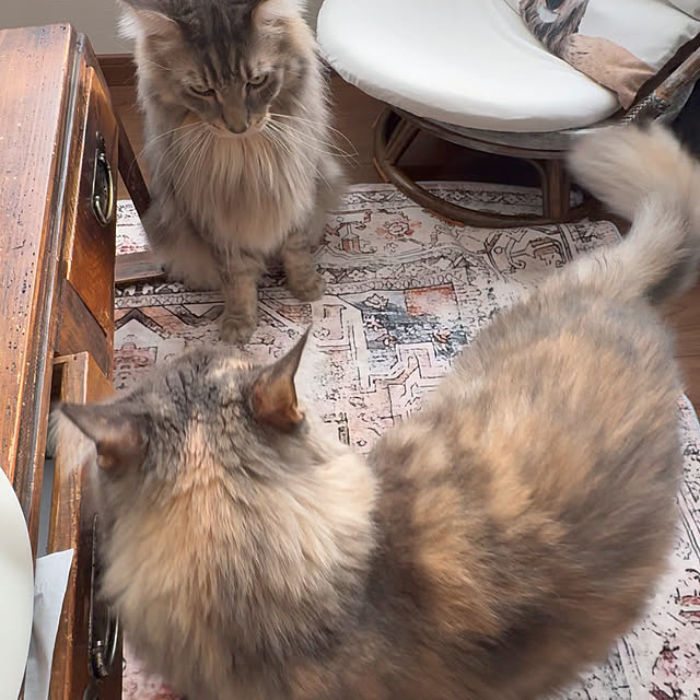 mayumiさんの部屋