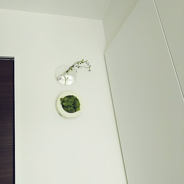 momo_s.a.iさんの実例写真