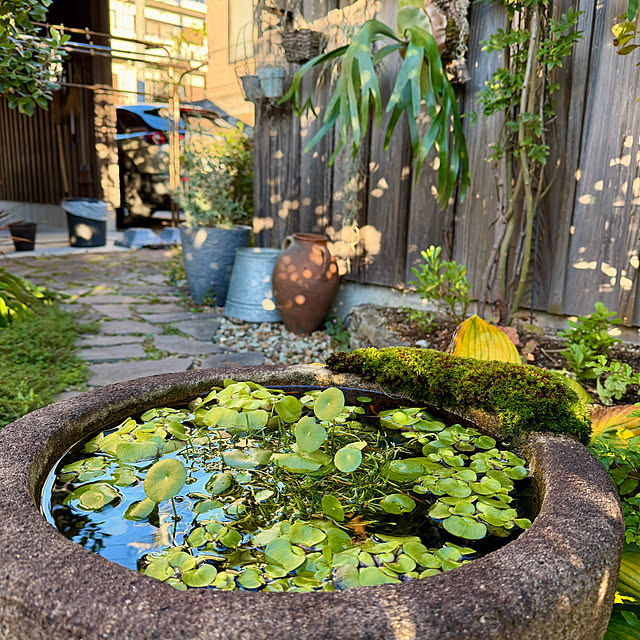 onsix777さんの実例写真