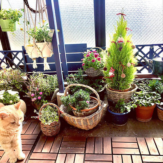 naokoさんの実例写真