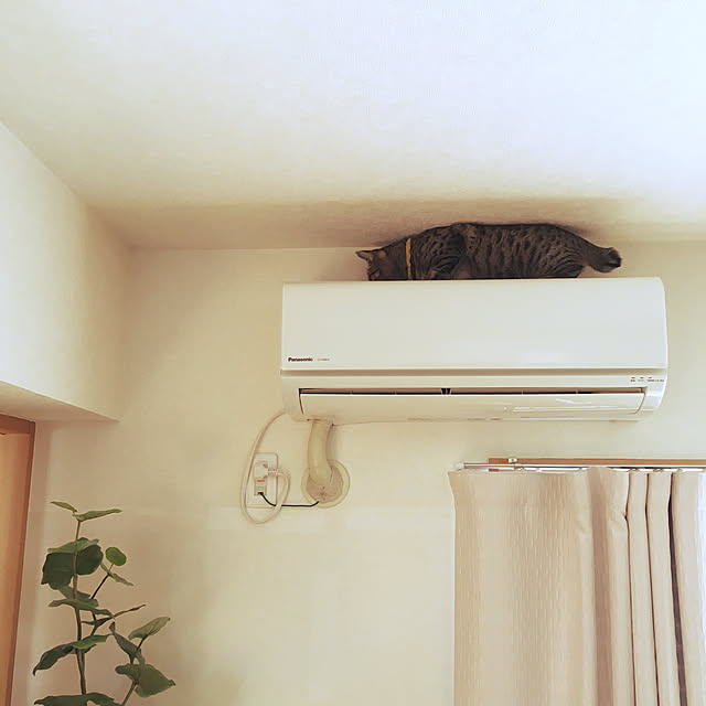 Mさんの実例写真