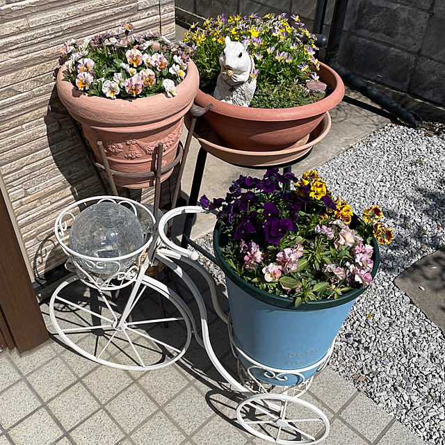 ronronさんの部屋