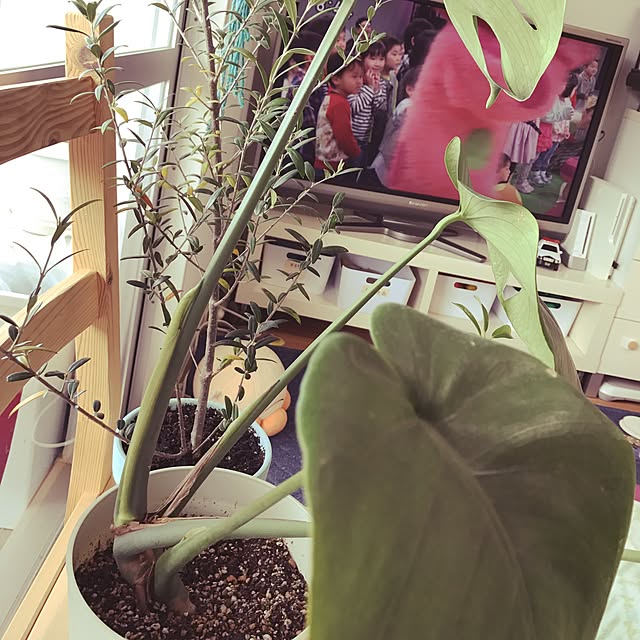 yuccoさんの実例写真