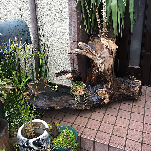 実例写真