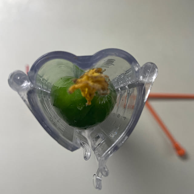 yuu.oさんの実例写真