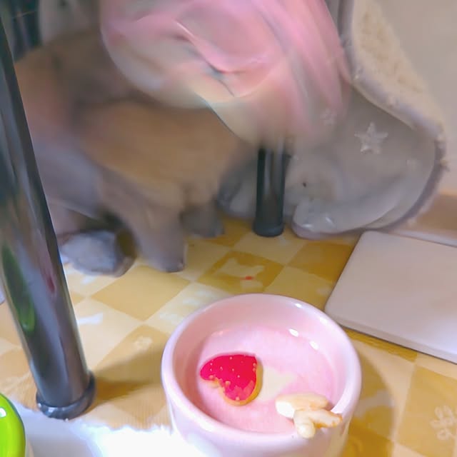 mariaさんの部屋