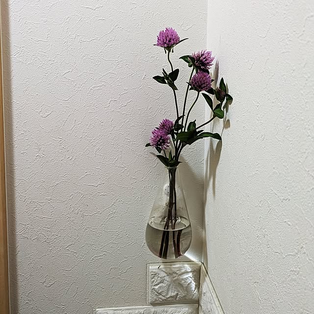 Shion+さんの部屋