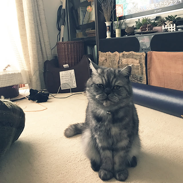 Marinさんの実例写真