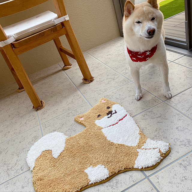 skyさんの実例写真