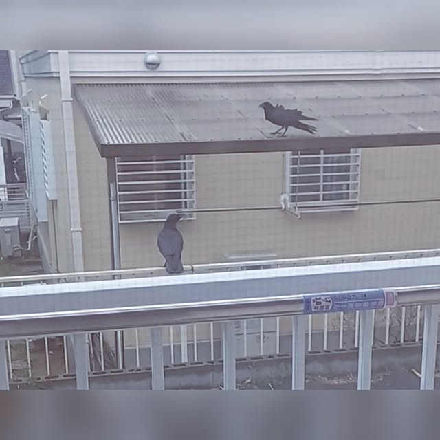 chimakiさんの部屋