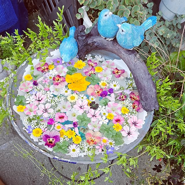 mocomocoさんの実例写真