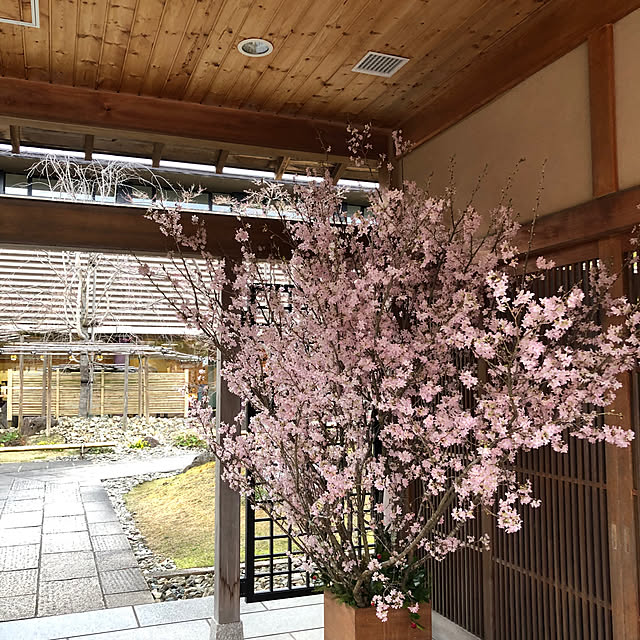 fumikoiさんの部屋