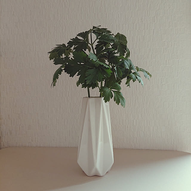 rinaさんの実例写真