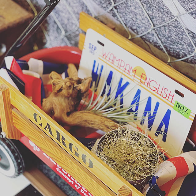 wakanaさんの実例写真