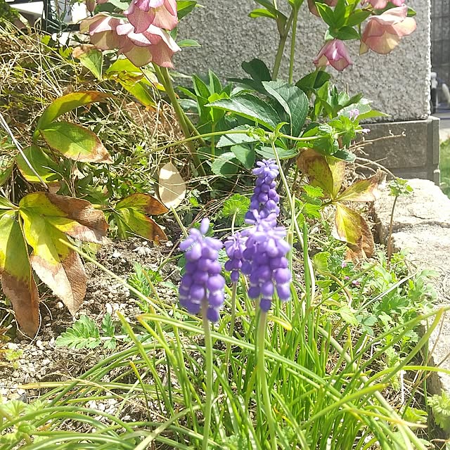 Rさんの部屋