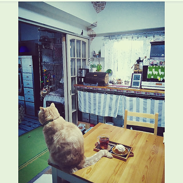 mntcさんの実例写真