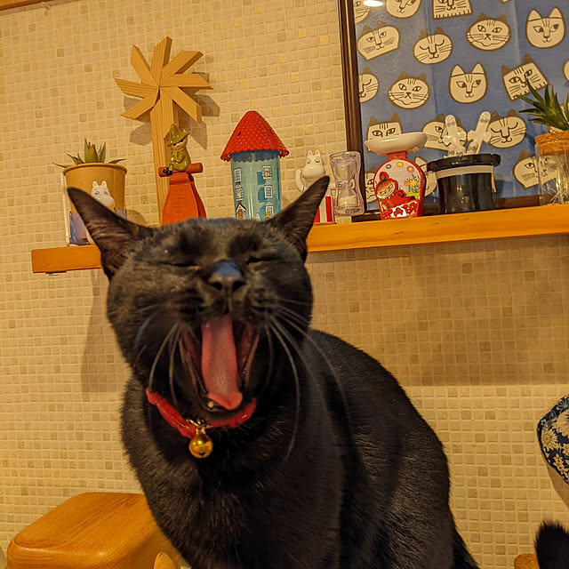 jacky-m-さんの実例写真