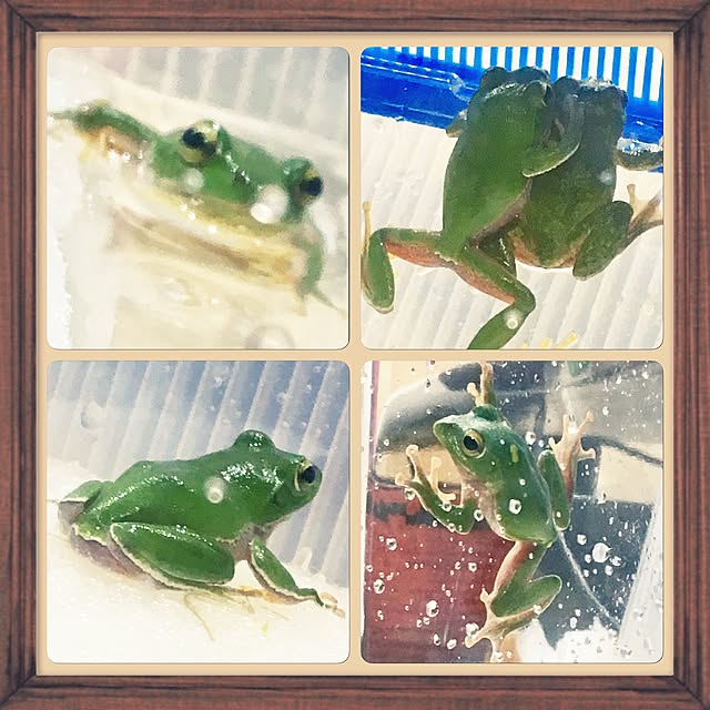 ainatsuさんの実例写真