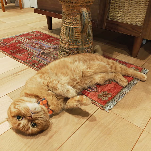 hm_myhomeさんの実例写真