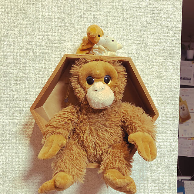chan-konoさんの実例写真