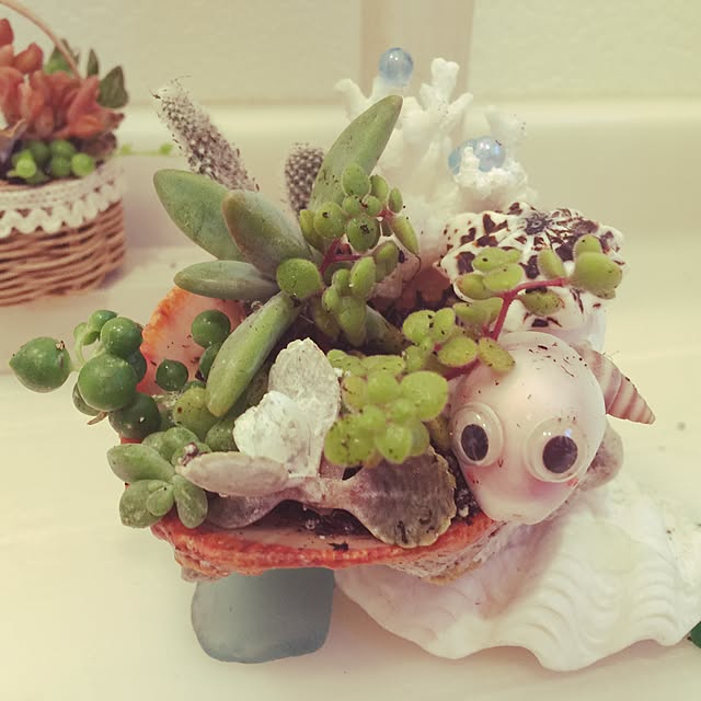 Enjuさんの実例写真