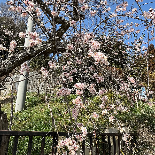 mogumoguさんの部屋