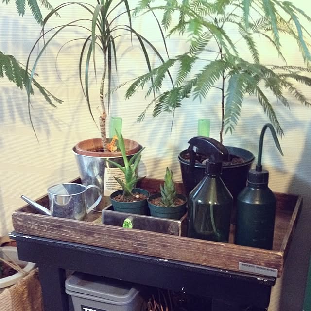 botanさんの実例写真