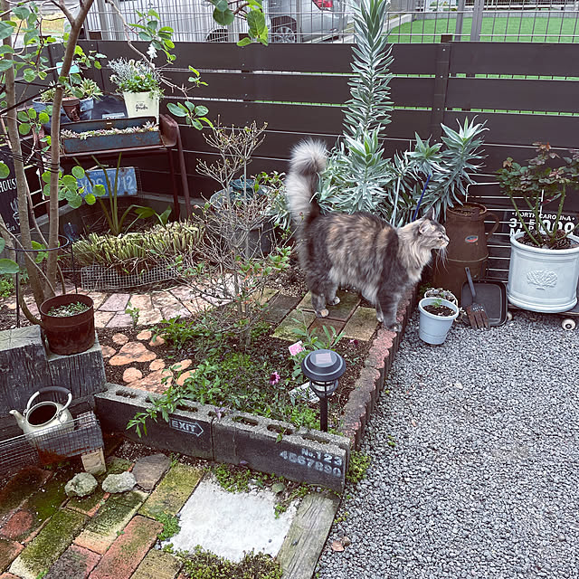 mayumiさんの実例写真