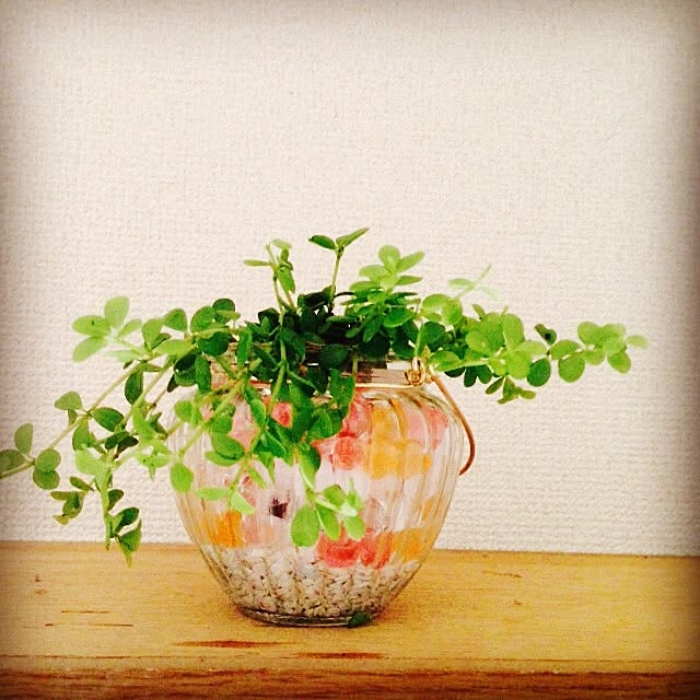 amy_mu_さんの実例写真