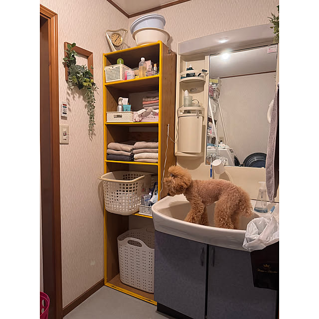 chaimomさんの部屋