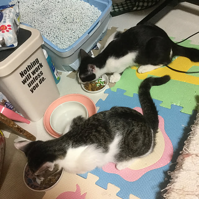 Y.Saさんの実例写真
