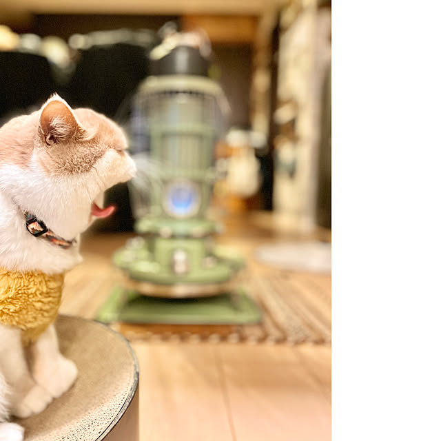 Rans_andy.さんの部屋