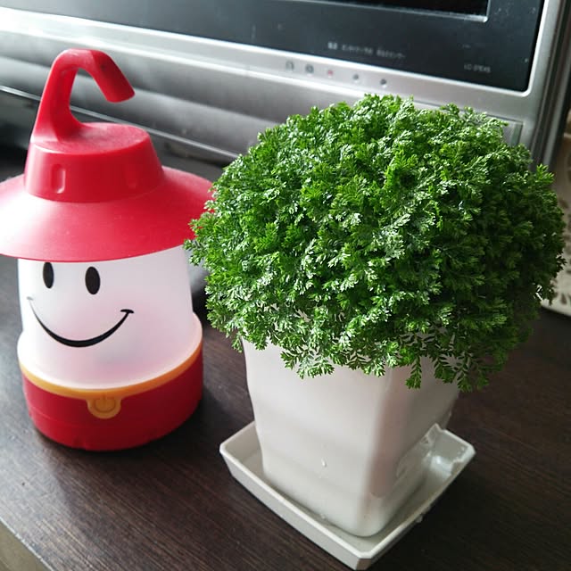 rikurenさんの実例写真