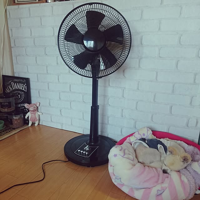 kazuさんの実例写真