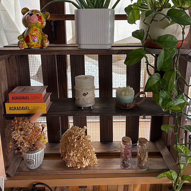 Fumiさんの実例写真