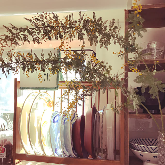 キッチン/観葉植物のインテリア実例 - 2019-02-18 12:26:11