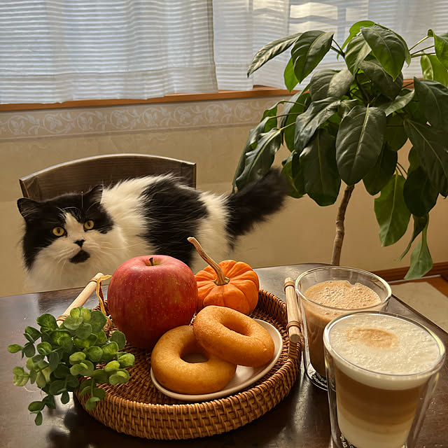 reonさんの実例写真