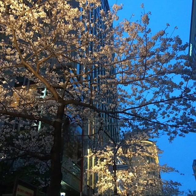 jinさんの部屋