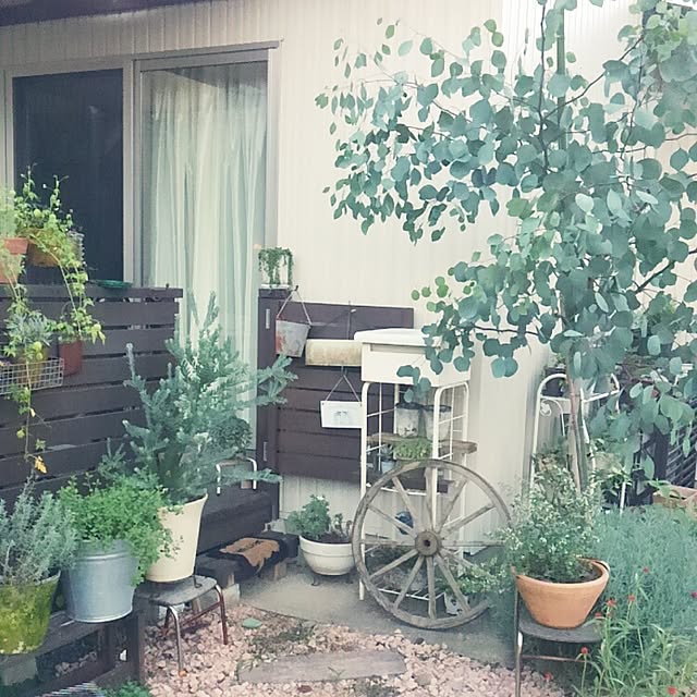 satomiさんの実例写真