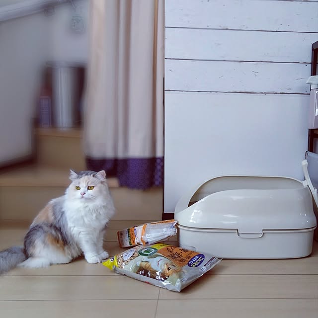 hiromi0302さんの実例写真