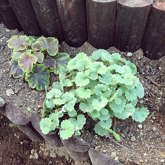 __hota.mさんの実例写真