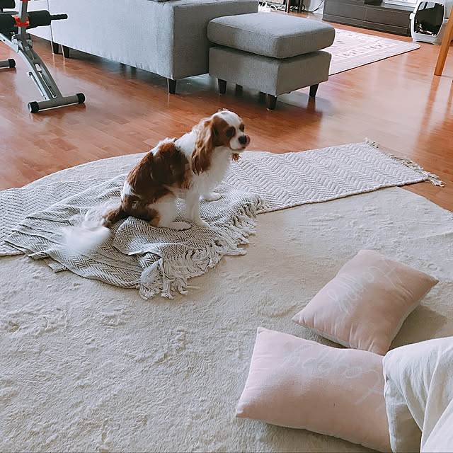 umelove0702さんの実例写真