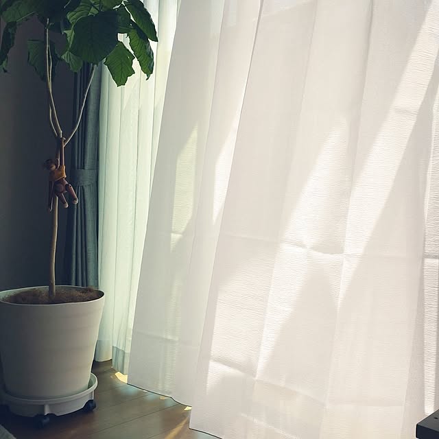 tan5さんの部屋